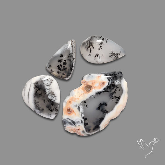 Dendritic Agates Lot