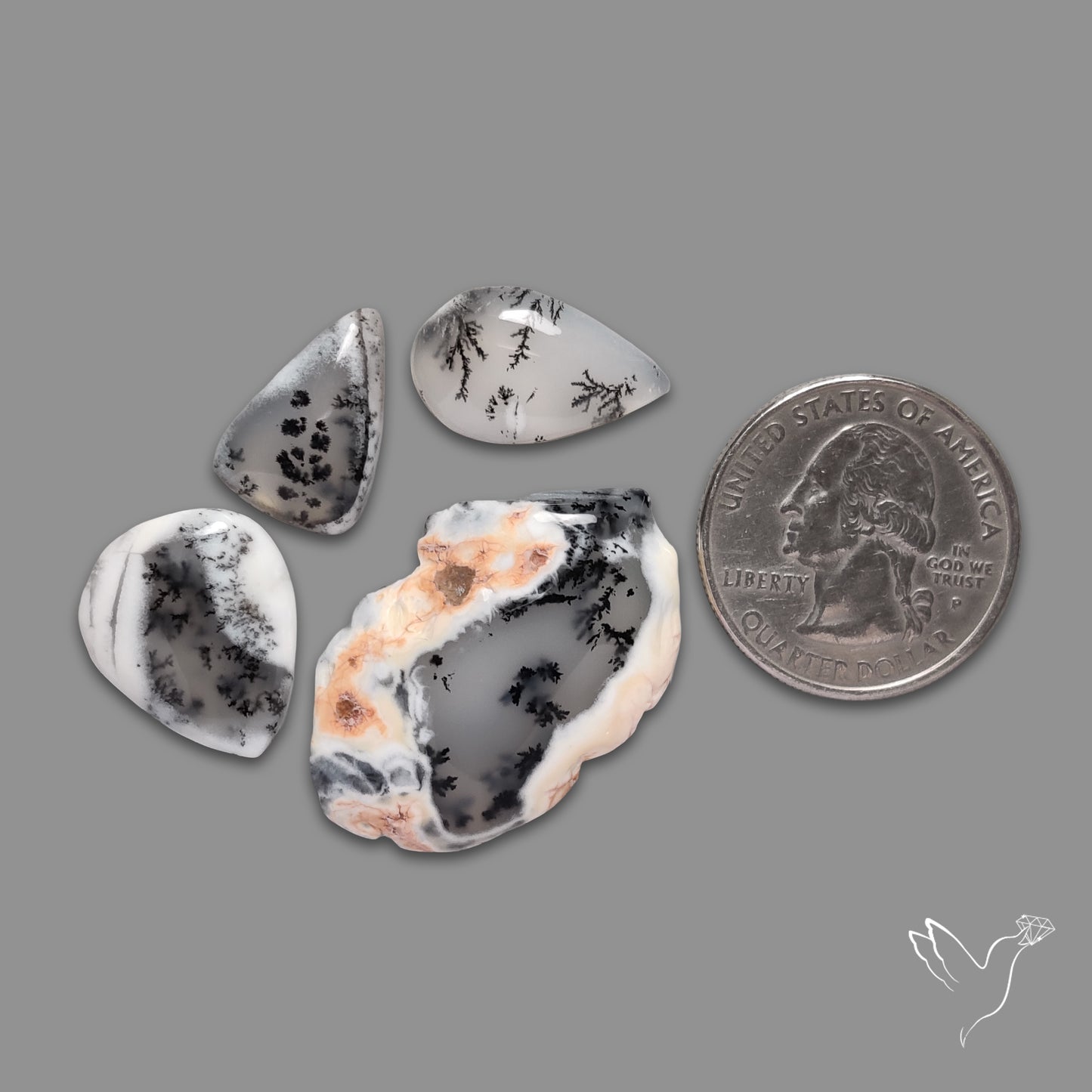 Dendritic Agates Lot