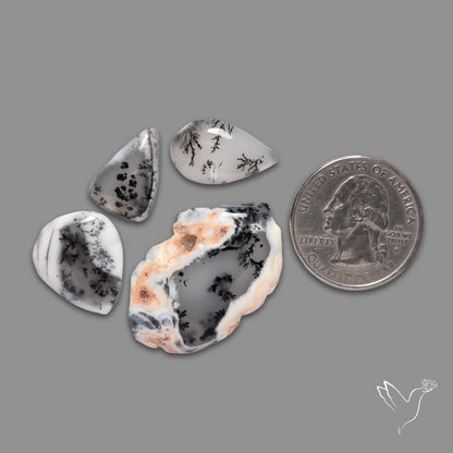 Dendritic Agates Lot