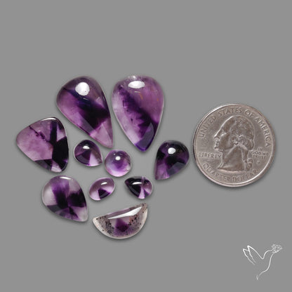 Trapiche Amethysts Lot