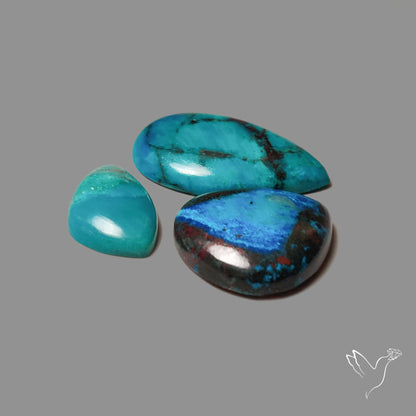 Congo Shattuckites Lot