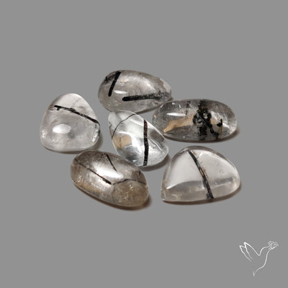 Black Tourmalinated Quartz Lot