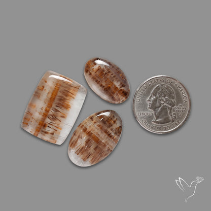 Cacoxenite In Quartz Lot
