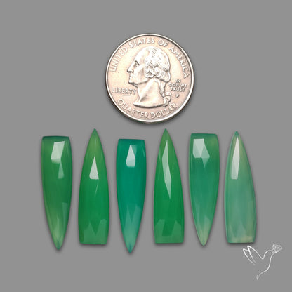 Rose Cut Gemmy Chrysoprase Lot