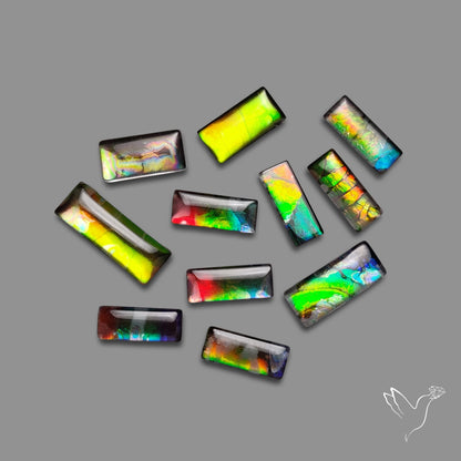 Ammolite Doublets with Quartz Lot