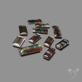 Ammolite Doublets with Quartz Lot