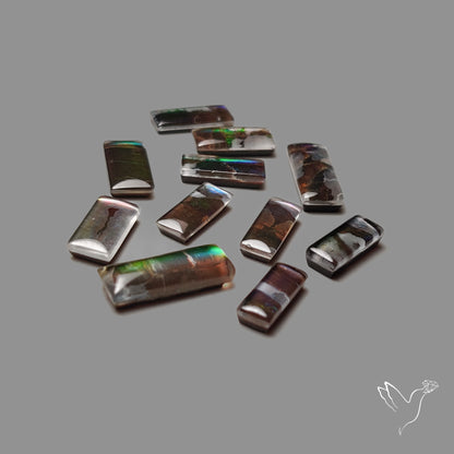 Ammolite Doublets with Quartz Lot