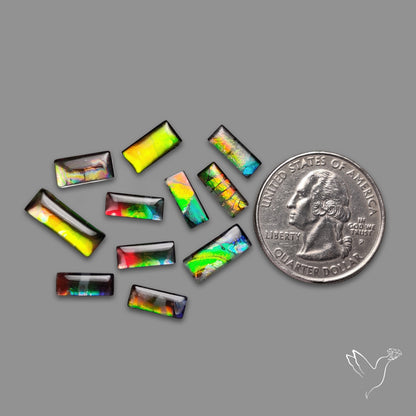 Ammolite Doublets with Quartz Lot