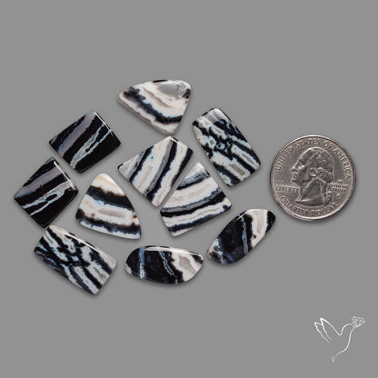 Tuxedo Agates Lot