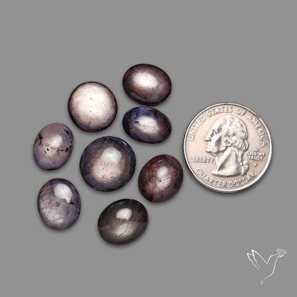 Dark Star Rubies Lot