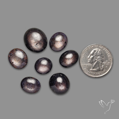 Dark Star Rubies Lot