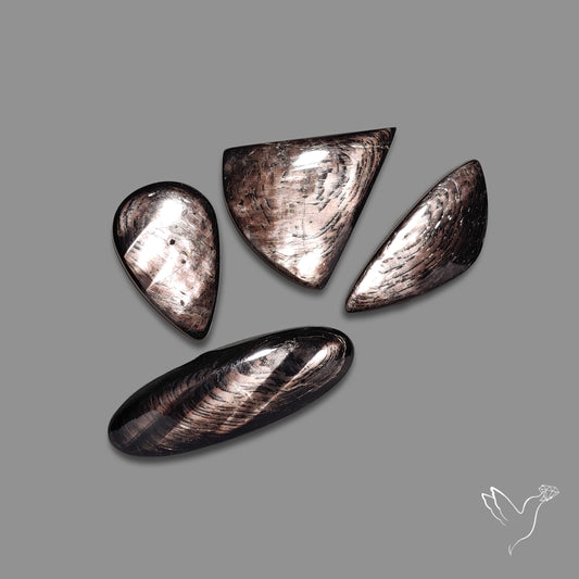 Hypersthenes Lot