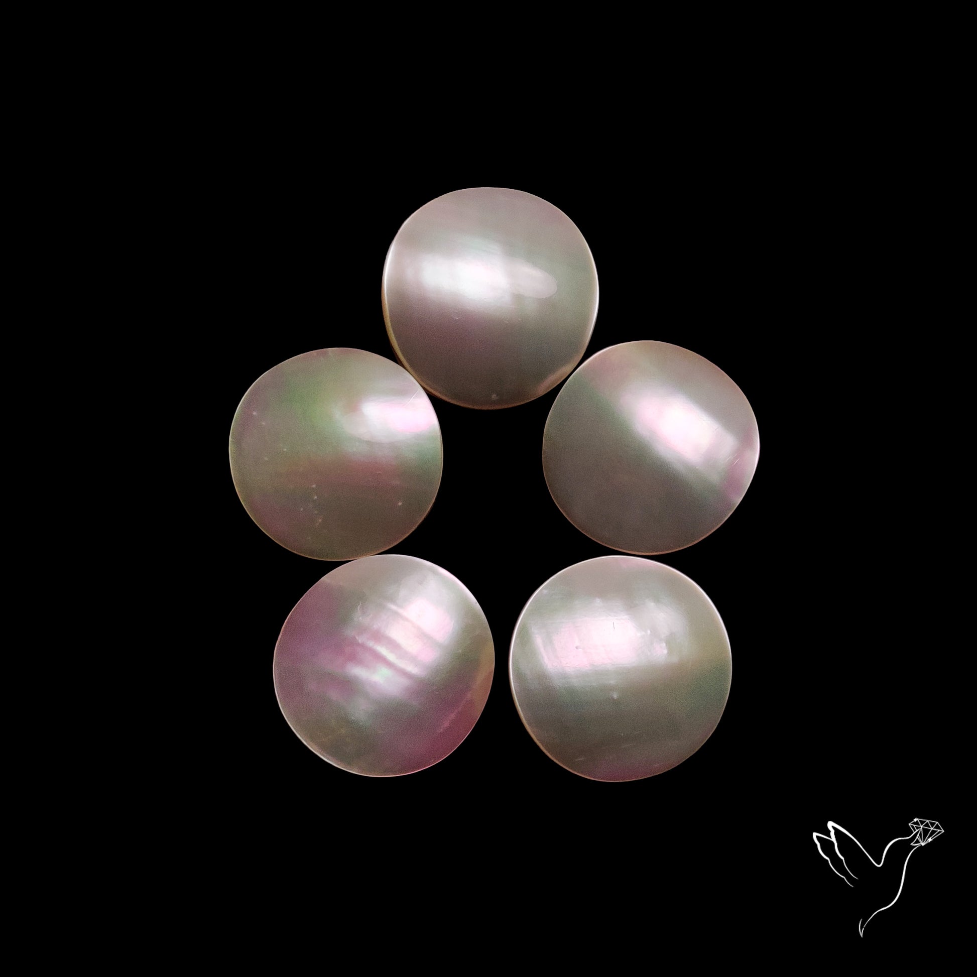 Mother of Pearls Lot