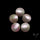 Mother of Pearls Lot