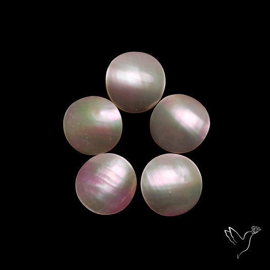 Mother of Pearls Lot