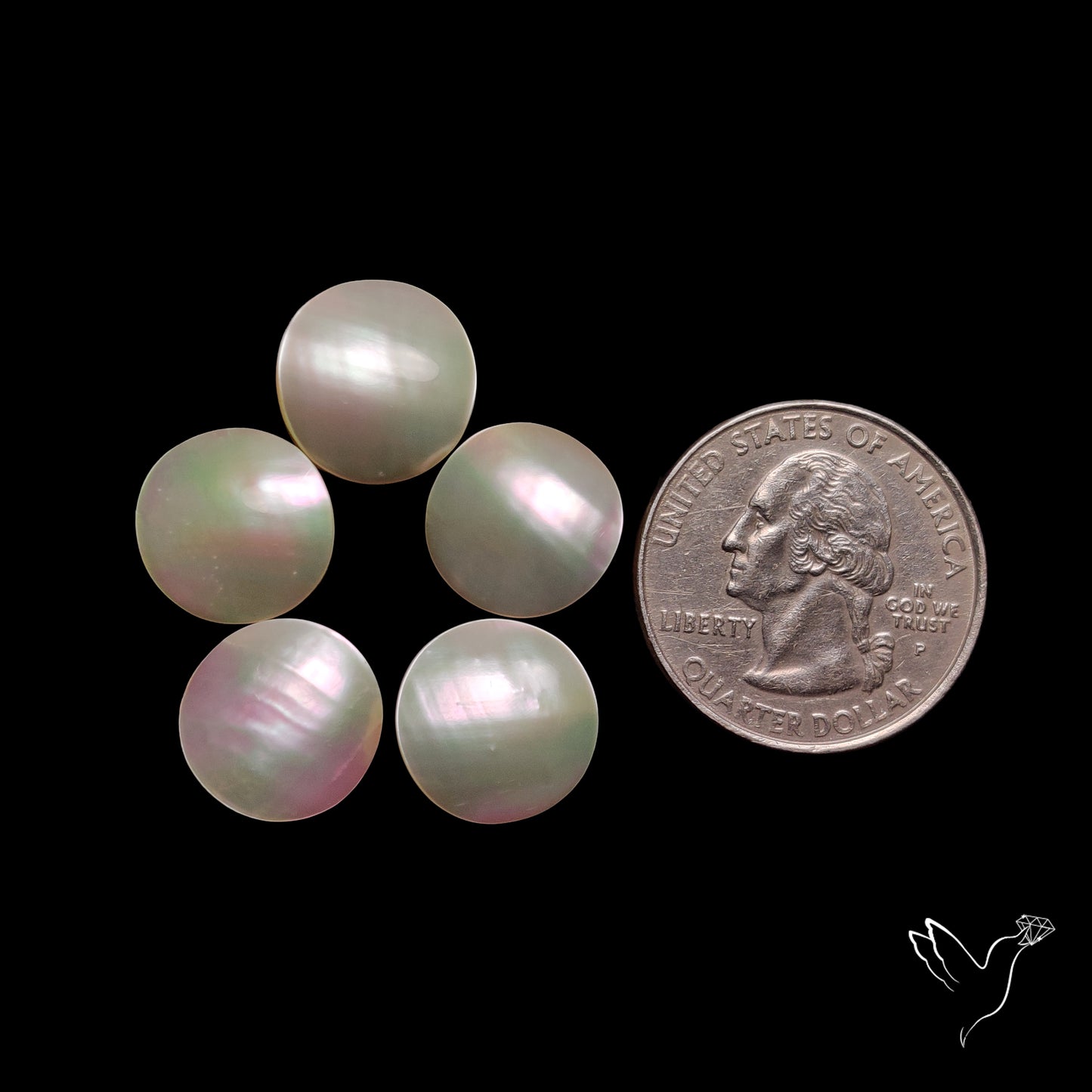 Mother of Pearls Lot