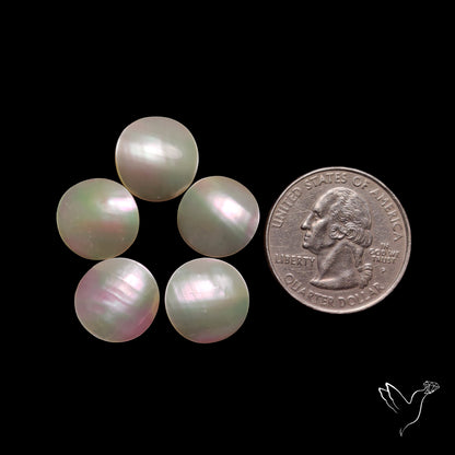 Mother of Pearls Lot