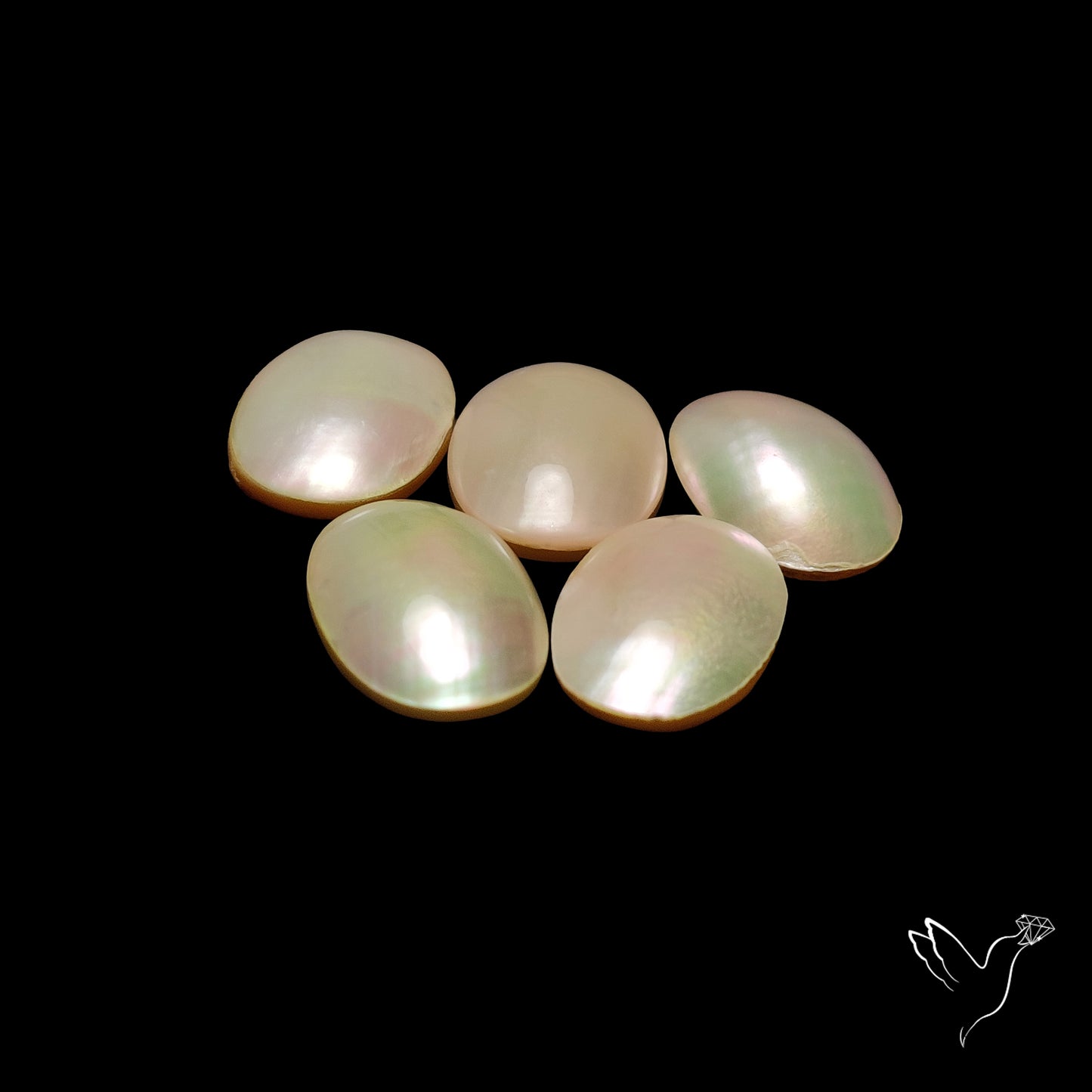 Mother of Pearls Lot