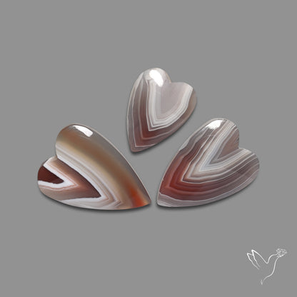 Botswana Agate Hearts Lot