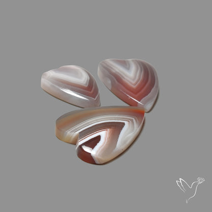 Botswana Agate Hearts Lot