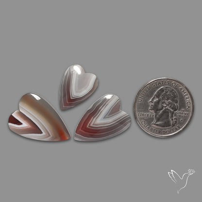 Botswana Agate Hearts Lot
