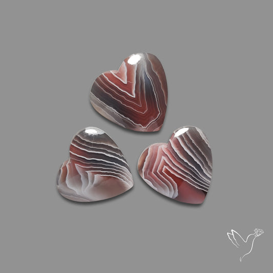 Botswana Agate Hearts Lot