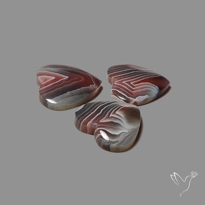 Botswana Agate Hearts Lot