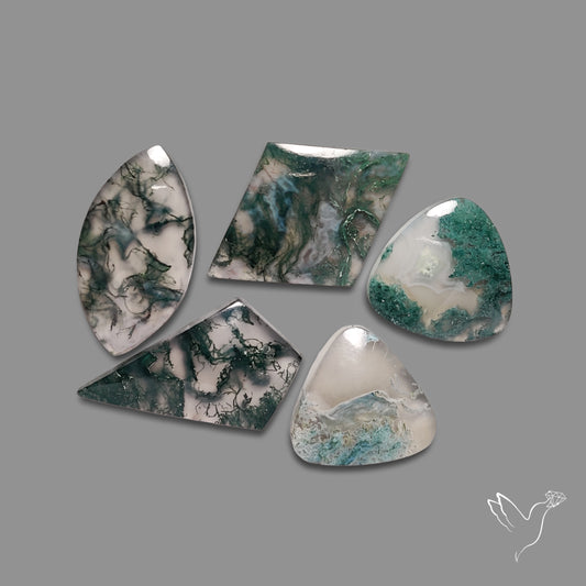 White Horse Canyon Moss Agates Lot