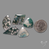 White Horse Canyon Moss Agates Lot