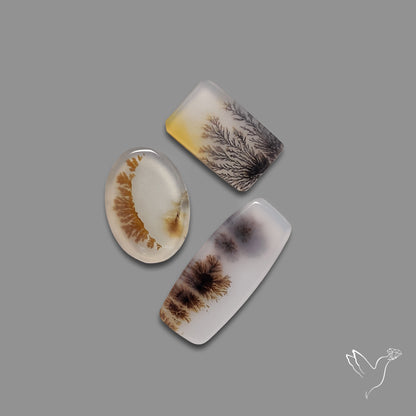 Scenic Agates Lot