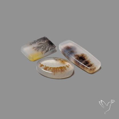 Scenic Agates Lot