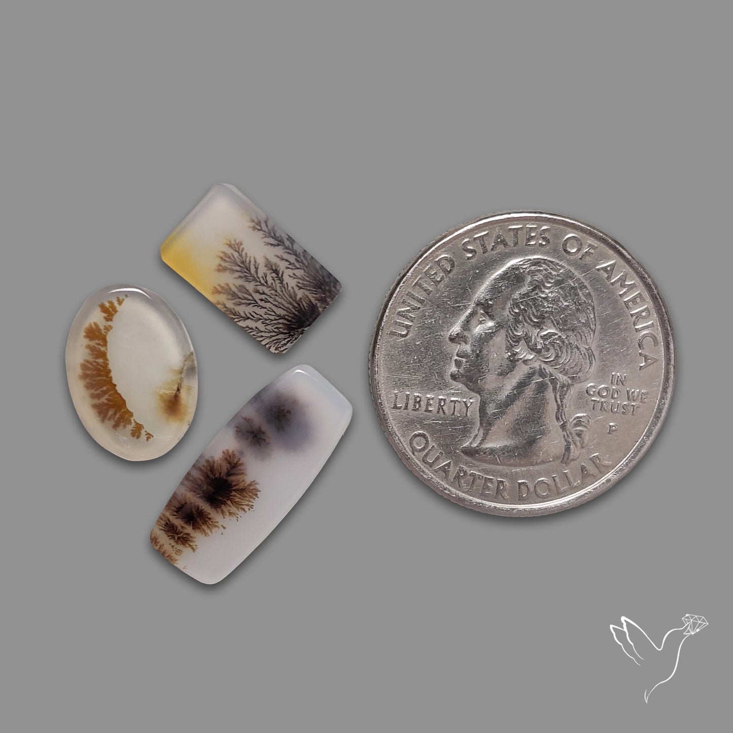 Scenic Agates Lot