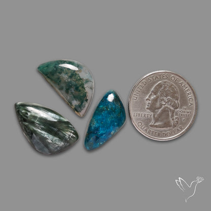 Moss Agate, Seraphinite, Neon Apatite Lot