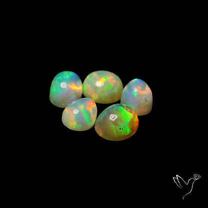 Small Ethiopian Opals Lot