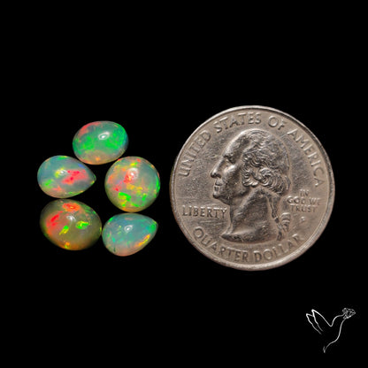 Small Ethiopian Opals Lot