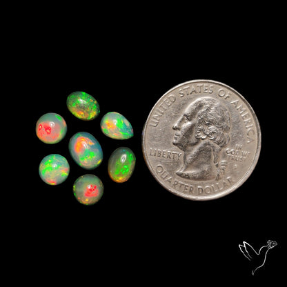 Small Ethiopian Opals Lot
