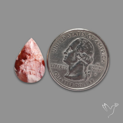 Howardite Opal Cabochon