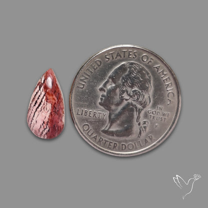 Howardite Opal Cabochon