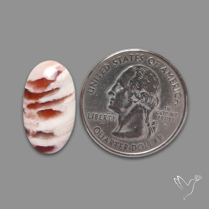 Howardite Opal Cabochon