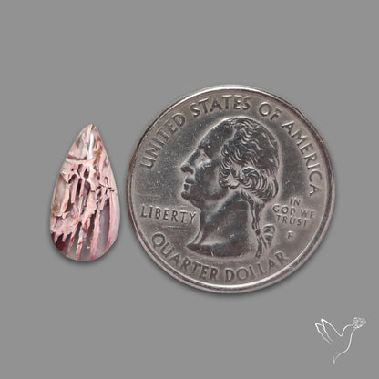 Howardite Opal Cabochon