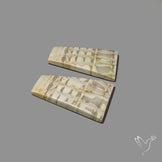 Large Picture Jasper Pair