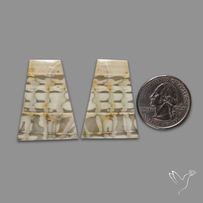 Large Picture Jasper Pair