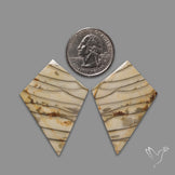 Large Picture Jasper Pair