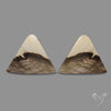 Large Picture Jasper Pair