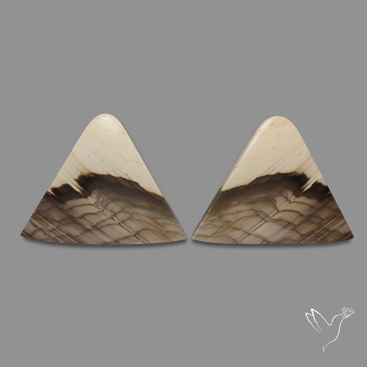 Large Picture Jasper Pair