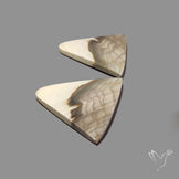 Large Picture Jasper Pair