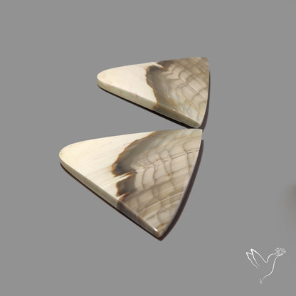 Large Picture Jasper Pair