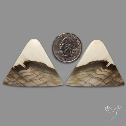 Large Picture Jasper Pair