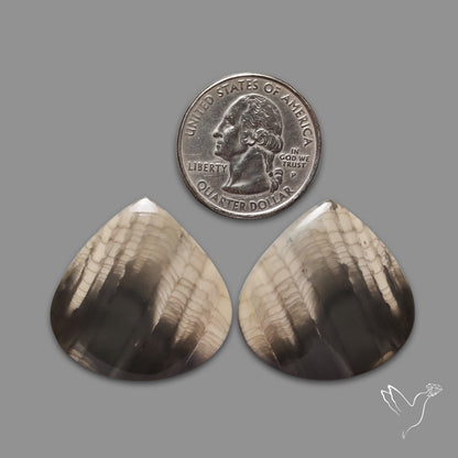 Large Picture Jasper Pair