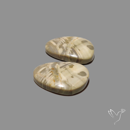 Large Picture Jasper Pair